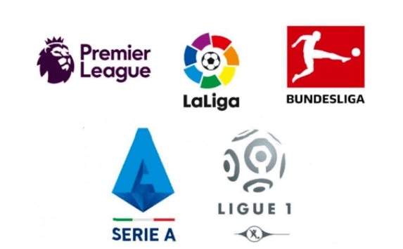 但这一过程 但这一过程